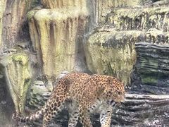 -贵州森林野生动物园