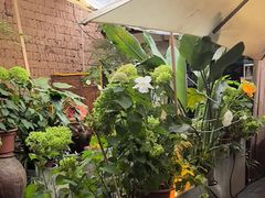 -小喜客·云南特色菜(纳西庭院店)