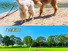 -沉浸北京·团建旅行·密室剧本杀·年会会议轰趴拓展