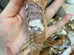 -春华海鲜城(广场西苑店)