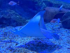 -海合安武汉极地海洋公园