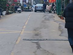 -金陵花卉交易市场