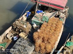 -东疆建设开发纪念公园