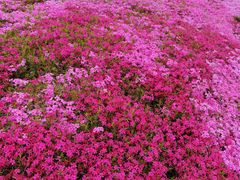 -昆嵛山石门里景区