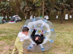 -黄海国家森林公园