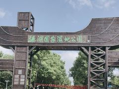 -溱湖国家湿地公园