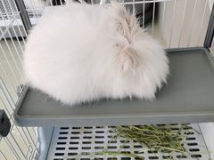 -小意思咖啡店(草桥店)