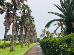 -柱状节理带