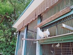 -宋庆龄陵园