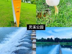 -老李家土菜馆·安吉地标美食