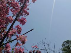 -南溪山景区