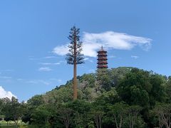 -红花山公园