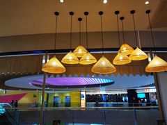 -云海肴·汽锅鸡·云南代表菜(东坝金隅店)