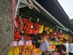 -南沙十九涌渔人码头-南门