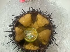 -日月昇渔家菜·海肠捞饭·大连海鲜(星海公园店)