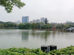 -紫马岭公园