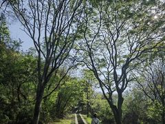 -青龙山国家森林公园