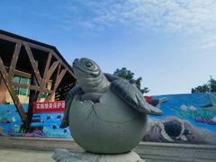 -广东惠东海龟国家级自然保护区