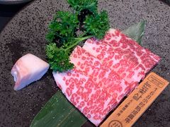-火浪壹 by tigergrill(33小镇店)