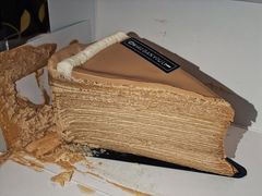 -小半有礼(天河南店)