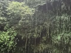 -海口火山口国家地质公园