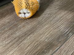 -普素SPA足浴按摩会所