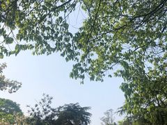-南山植物园