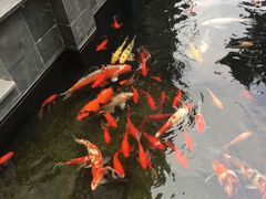 -民国红公馆·艺文空间(颐和路店)
