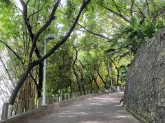-中山公园(石岐街道)