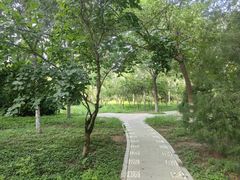 -绿岛公园(滨海新区)