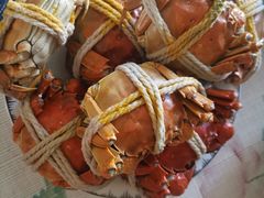 -阳澄湖大闸蟹·琼灵阁牌品牌连锁(吴中总店)