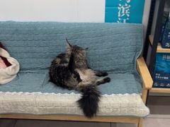 -佳雯宠物医院·皮肤科·内外科(春晓路分院)