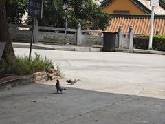 -宝通禅寺