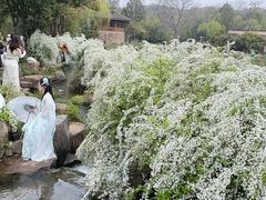-中国茶叶博物馆(双峰馆区)