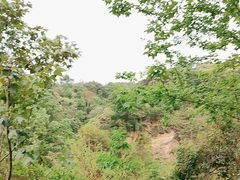 -风云岭森林公园