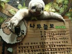 -济州岛泰迪熊博物馆
