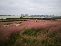 -羚羊峡古栈道森林公园