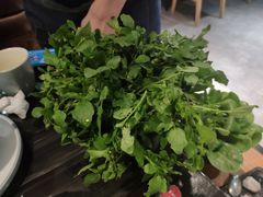 -东椰·海南椰子鸡火锅(朝阳门店)