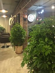 picture-P.STYLE 派斯造型