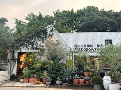 -自由生长植物工作室(深港花卉中心店)