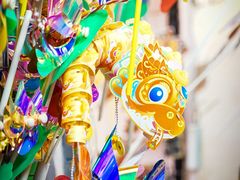 -越秀西湖花市(广州城市广场花卉店)