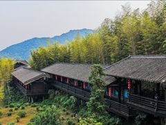 -大唐贡茶院