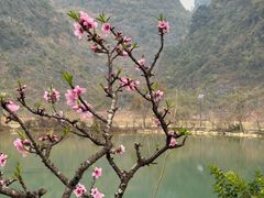 -靖西鹅泉风景区