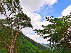 -海南热带雨林国家公园吊罗山景区