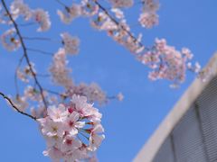 -龙美术馆(西岸馆)