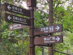 -铁山坪森林公园