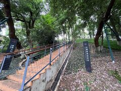 -马王堆汉墓遗址