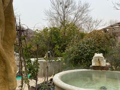 -仁爱团泊湖温泉中心