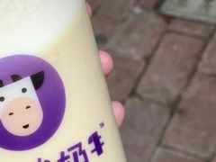 -一只酸奶牛(八一路店)