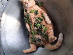 -花花卷卷·鲜食蛋糕(静安久光百货店)